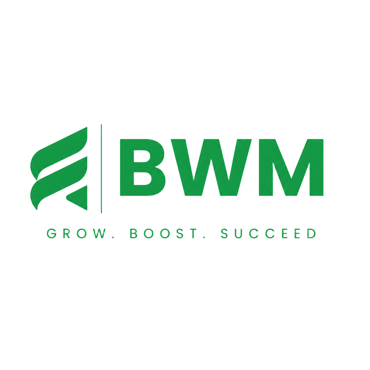 Boost Wave Marketing Logo